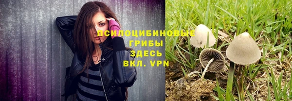 спиды Алзамай