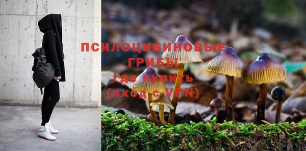 спиды Алзамай