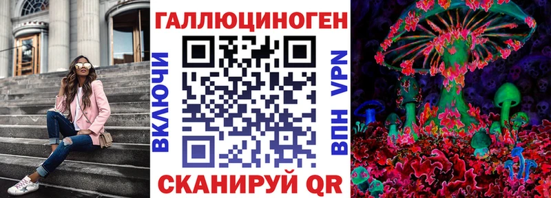 Псилоцибиновые грибы Cubensis  Кыштым 