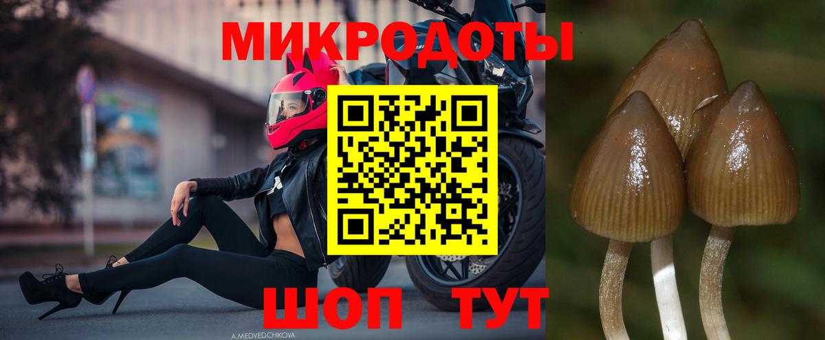 Галлюциногенные грибы Psilocybe  Вход с VPN  Кыштым 